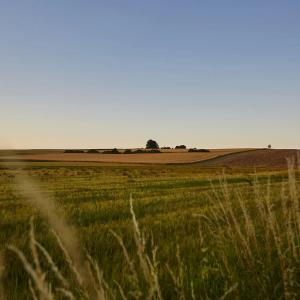 2015 06 Stangl Impressionen 02