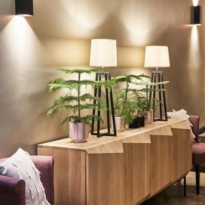 2024 05 Stanglwirt Elias Treugut 1297